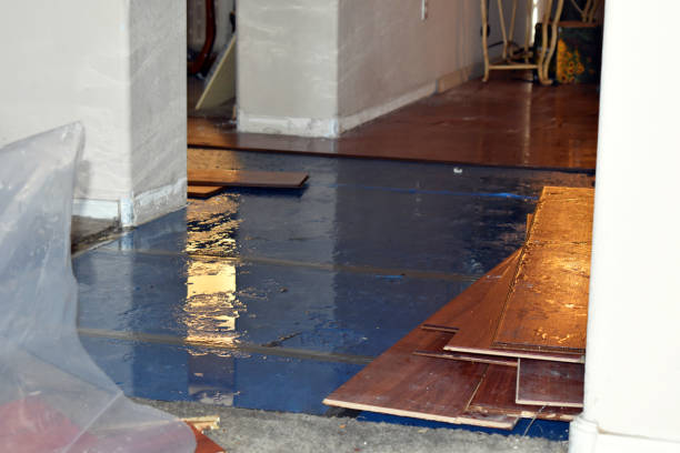 Professional Basement Flood Cleanup technician working in Enterprise, WV